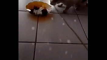 Gadis Malam yang Menggoda