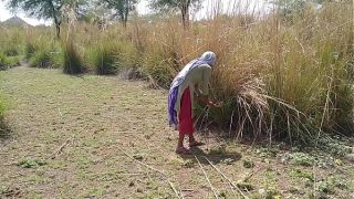 पति तो अच्छा है, पर साली तू तो पक्की रांड बनने पर तुली है… सुन, तेरी सुहागरात की गर्म तस्वीरें हमारे पास हैं, उस रात जब हमने तुझे देसी अंदाज में चोदा था।