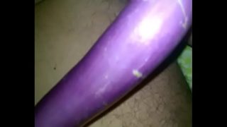 Shonu kontol India lagi kacau lu