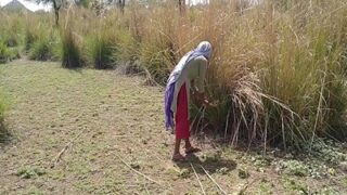 Video mesum desi di sawah, tukang kebun bejat dan kuli nakal mainin kontol