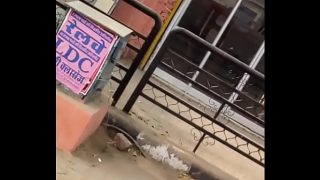 Desi panas Jaipur merah saree baru bikin meleleh